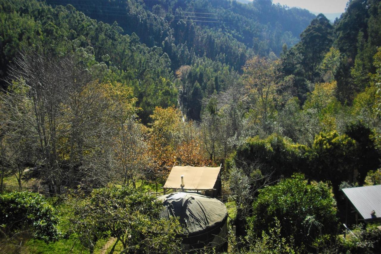 Green Man Yurt بينيلا المظهر الخارجي الصورة