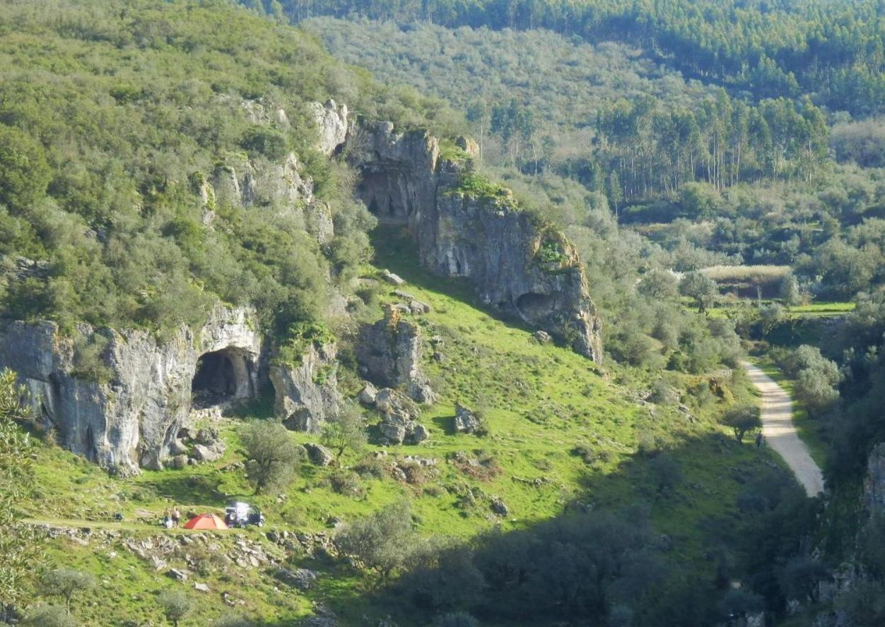 Green Man Yurt بينيلا المظهر الخارجي الصورة
