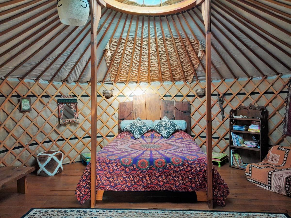 Green Man Yurt بينيلا المظهر الخارجي الصورة