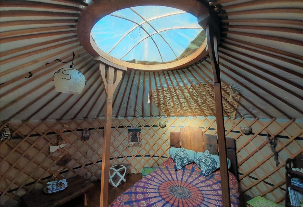 Green Man Yurt بينيلا المظهر الخارجي الصورة